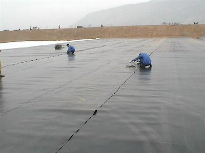 PE价格与PE批发 土工膜供应链解析——第6页导读